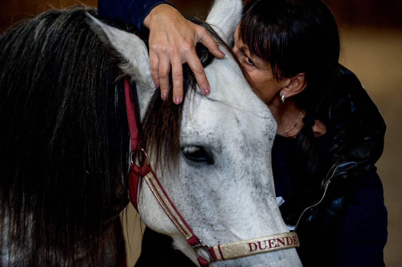 Fotos: Un &#039;spa&#039; para caballos en Euskadi