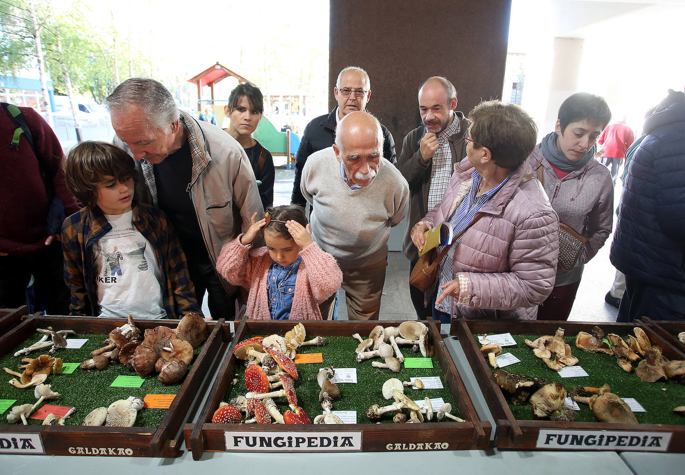 Fotos: Feria micológica en Galdakao