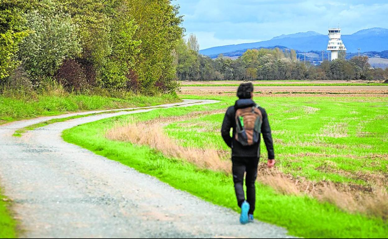 Parte de los terrenos en los que se asentaría el polígono. 