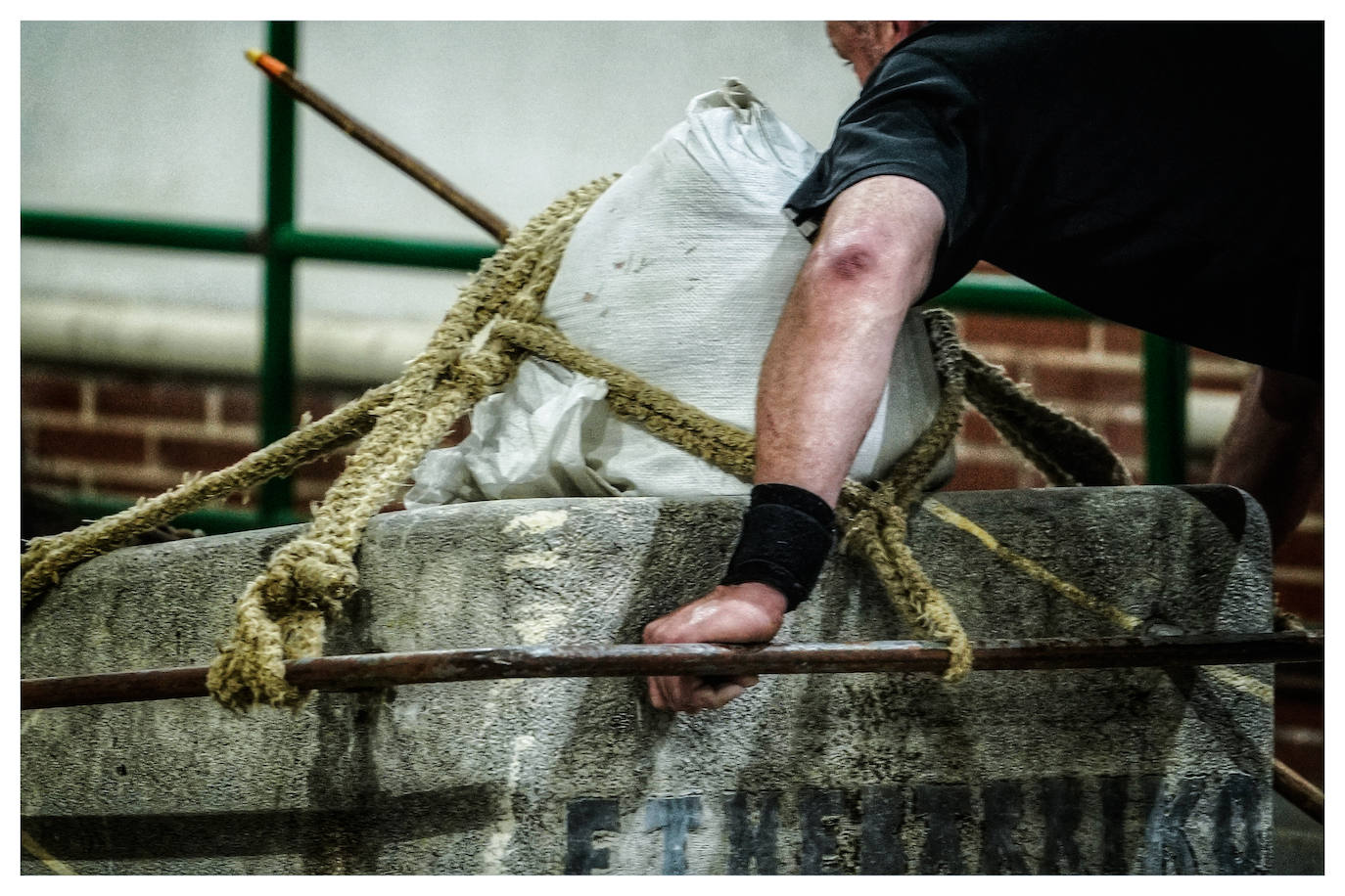 Fotos: Arrastre de bueyes en Mallabia