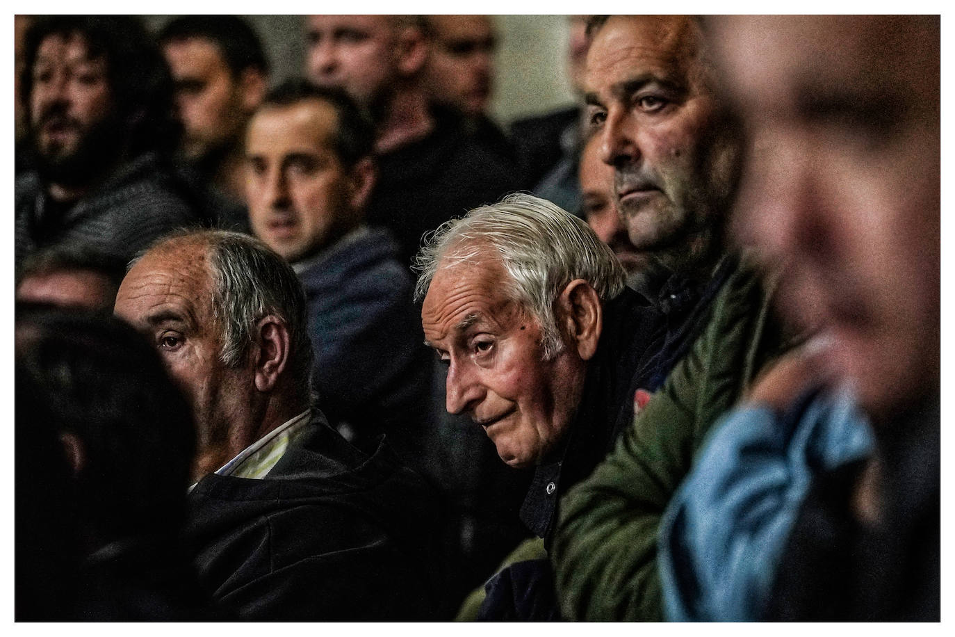 Fotos: Arrastre de bueyes en Mallabia