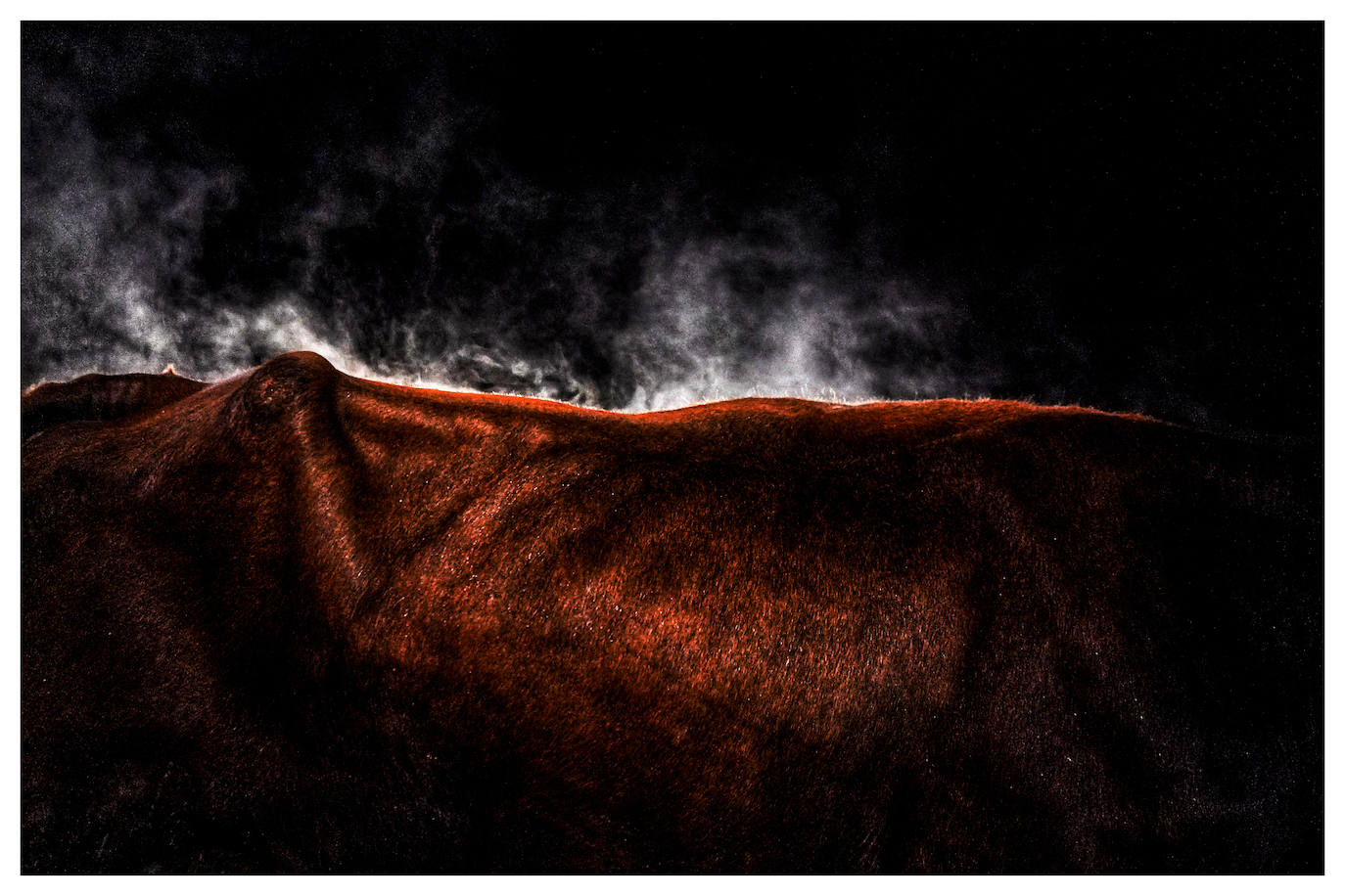 Fotos: Arrastre de bueyes en Mallabia