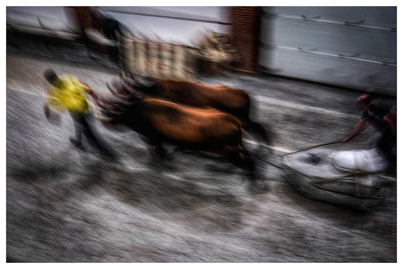 Fotos: Arrastre de bueyes en Mallabia