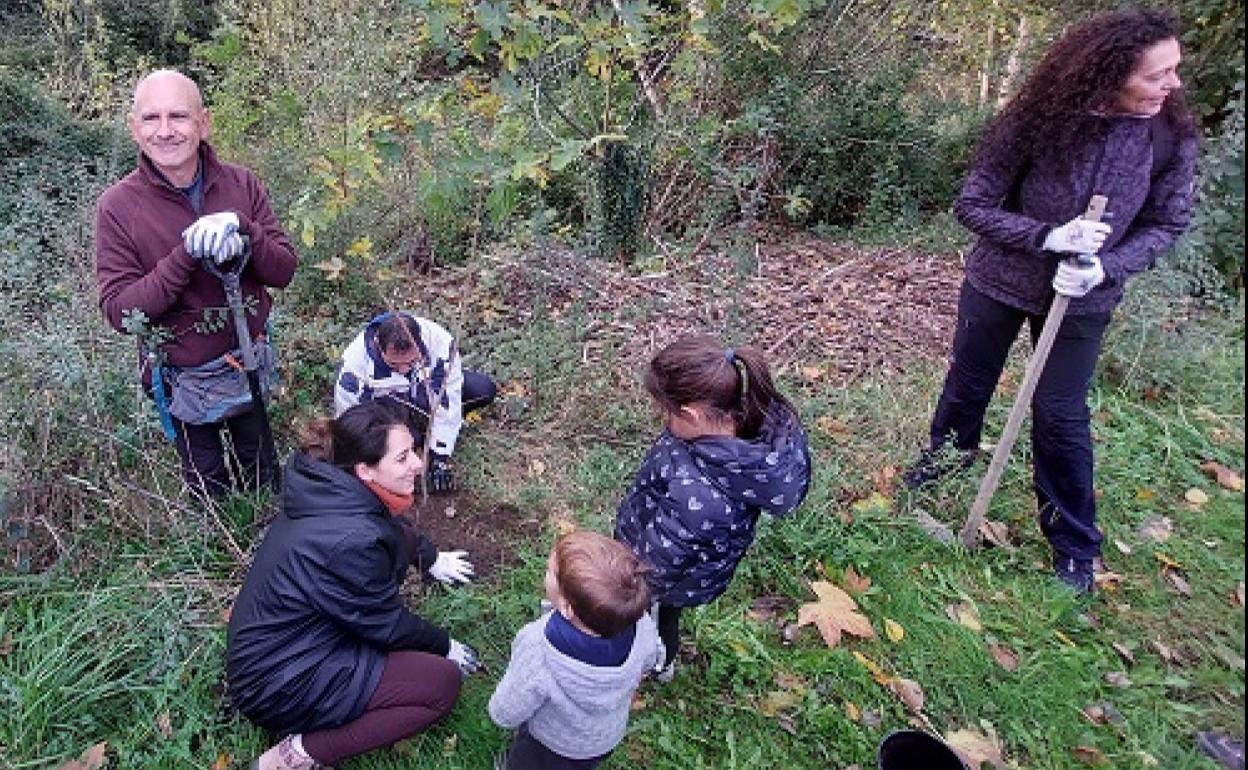 Voluntarios plantan una especie autóctona después de retirar una invasora. 