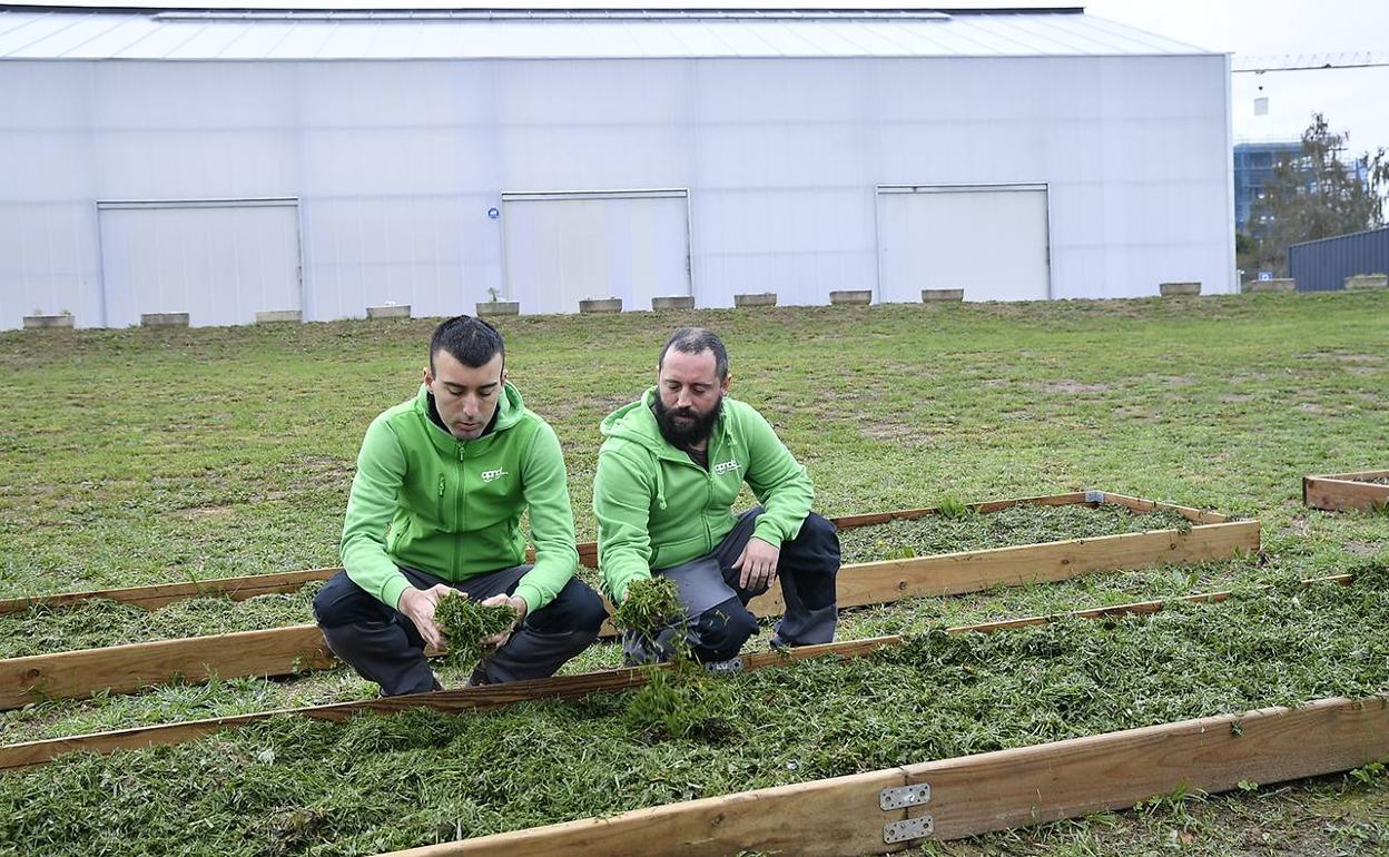 El nuevo centro de día para personas autistas de Derio cuenta con 5.000 metros cuadrados de espacio al aire libre para cultivos o activades de ocio. 