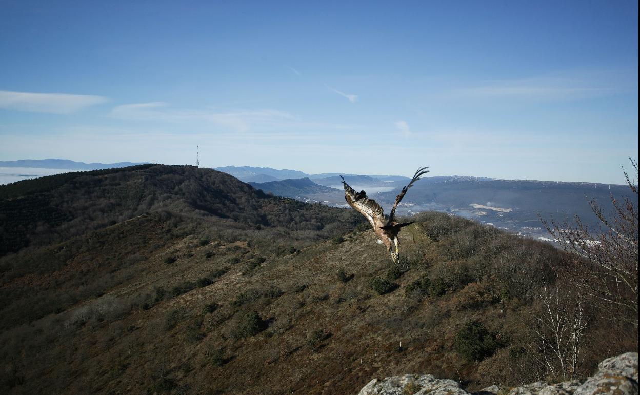 Bildu pide que los Montes de Vitoria sean parque natural para frenar la central eólica de Azáceta