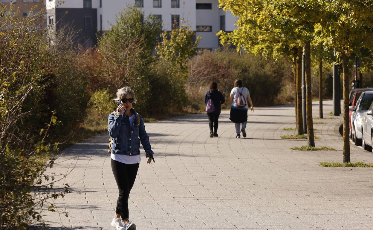 El termómetro ha dejado máximas cercanas a los 30 grados en algunos rincones de Álava durante el otoño que está a punto de acabar. 