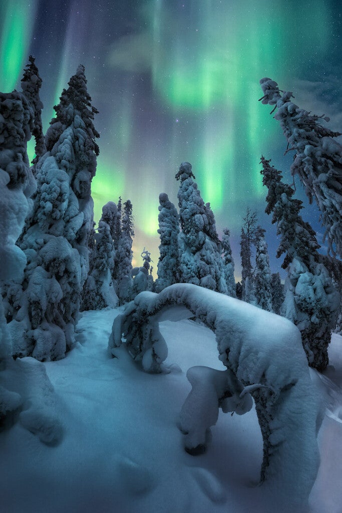 “Spirits of Winter” – Parque Nacional Riisitunturi, en Laponia finlandesa.