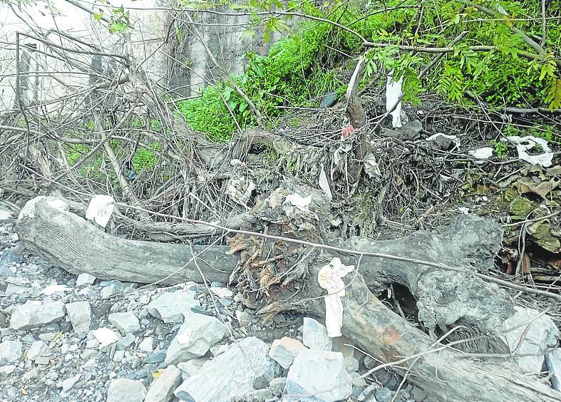 Los restos de diversos desechos se acumulan en la orilla del río Ibaizabal a su paso por Galdakao. 