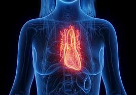 El infarto es más letal en las mujeres