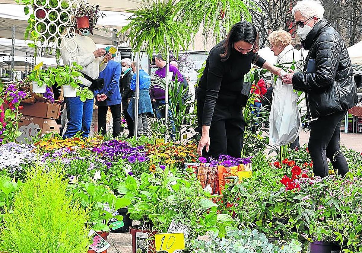 Uno de los talleres organizados se centra en la creación de un huerto urbano.