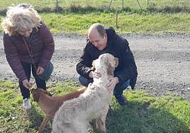 En el refugio hay un centenar de gatos y perros que han sido abandonados en Barakaldo