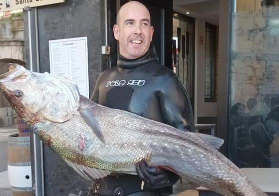 Una corvina de 30 kilos en Bermeo