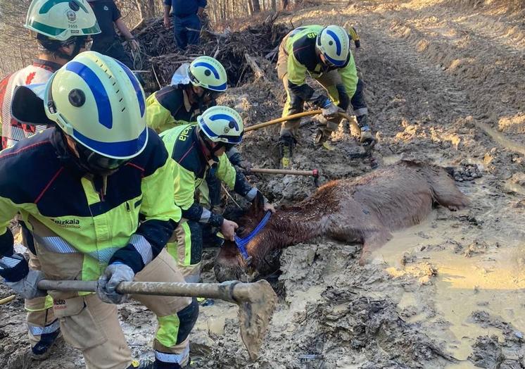 Los Bomberos de Iurreta realizaron toda la operación