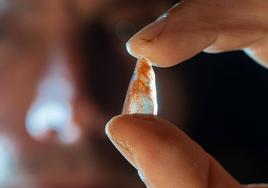 Ludovic Slimak sostiene una 'nanopunta' hallada en el nivel E de Cueva Mandrin.