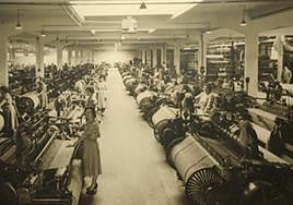 Emakume ugari enpresa-ehun batean lan egiten.