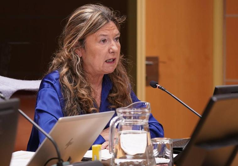 La consejera Gotzone Sagardui, durante una comparecencia en el Parlamento vasco.