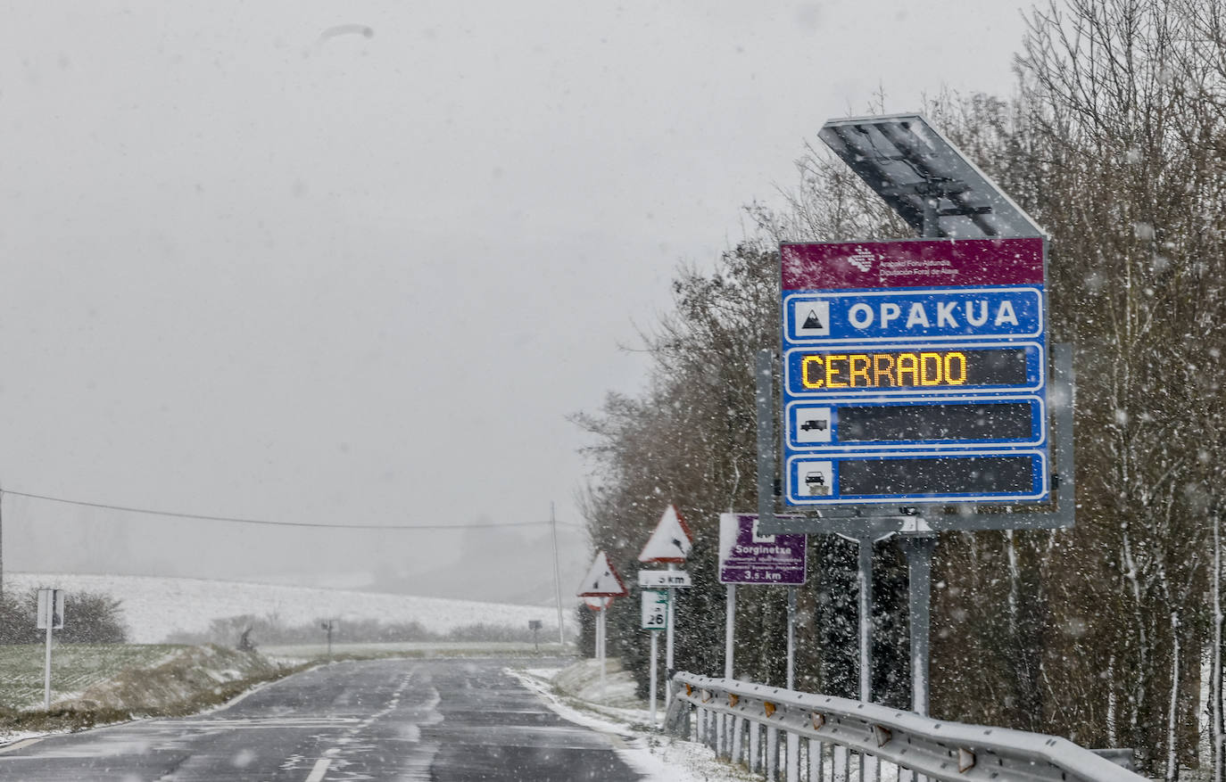 La nieve arrecia en Vitoria y dificulta la conducción en Álava