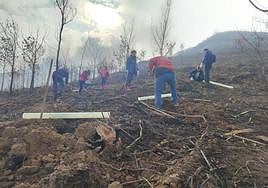 Los vecinos que han participado en las labores de reforestación