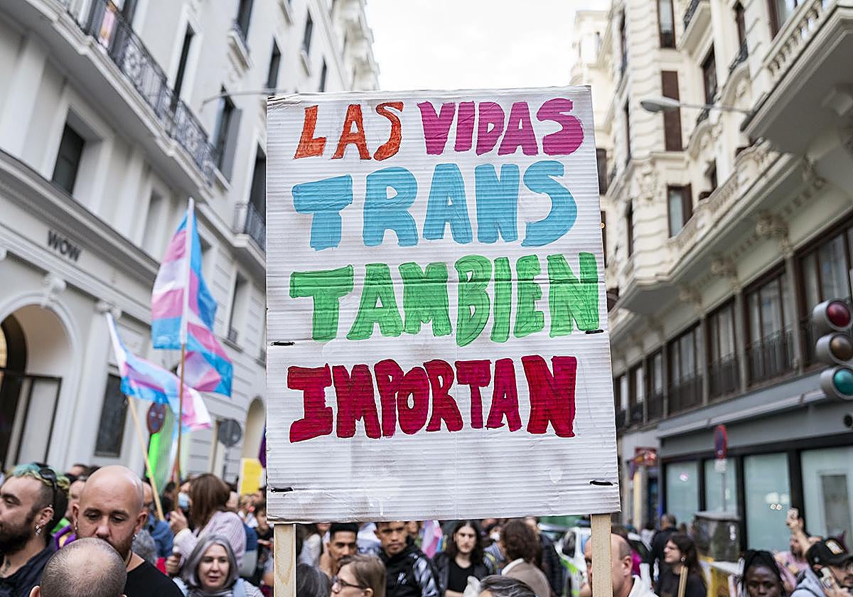 Manifestación en contra del atraso del PSOE en la tramitación de la Ley Trans