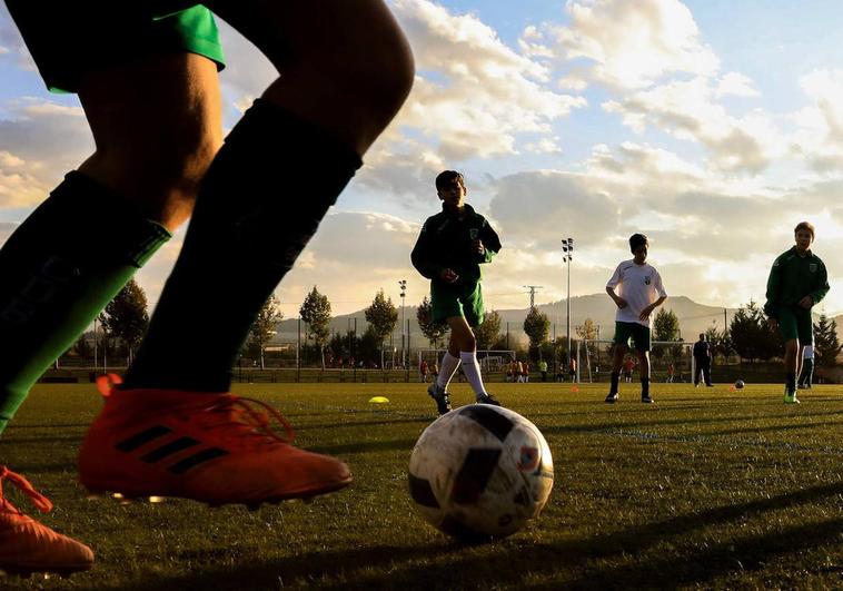 La Federación Alavesa de Fútbol suspenderá los partidos si se reiteran los insultos