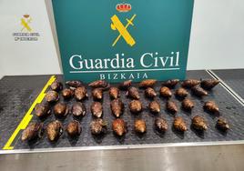 La Guardia Civil interviene 38 caracoles gigantes africanos vivos en el aeropuerto de Bilbao