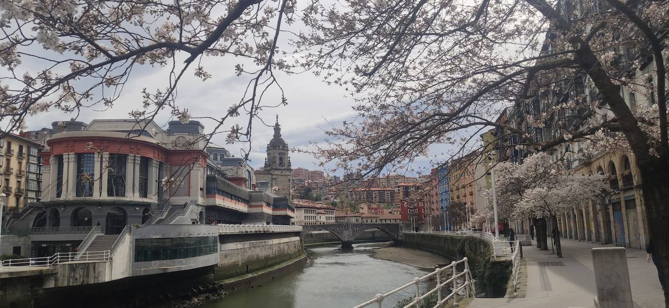 Vista del mercado de la Ribera y el puente de San Antón desde el muelle Marzana. SERGIO GARCÍA