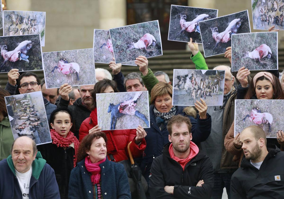 Protesta de ganaderos alaveses delante de la Diputación contra los ataques del lobo.