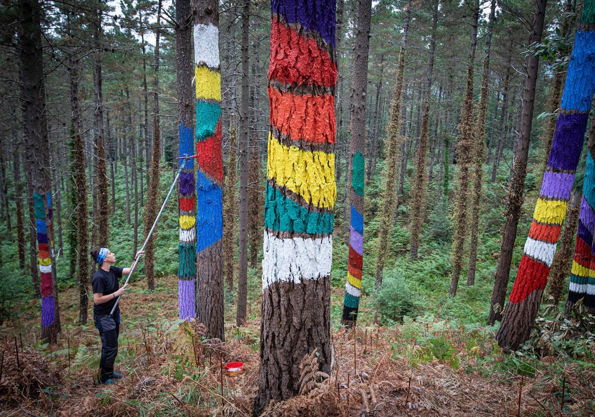 La forêt d’Oma récupère les visiteurs pendant qu’ils peignent les 19 arbres manquants