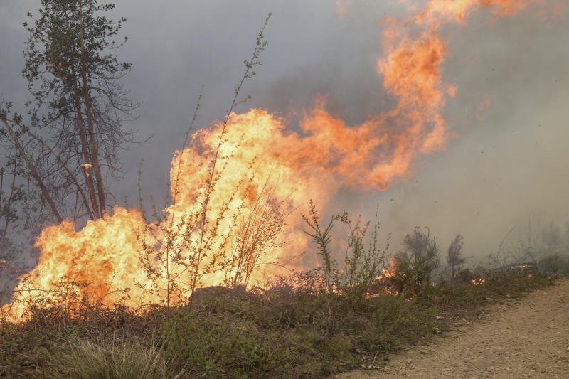 Lenguas de fuego han obligado a cortar varias carreteras