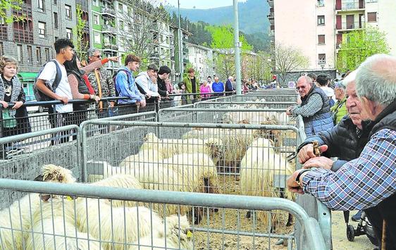 Los animales son imprescindibles en la feria ganadera de Viernes de Dolores y atraen a cientos de personas.