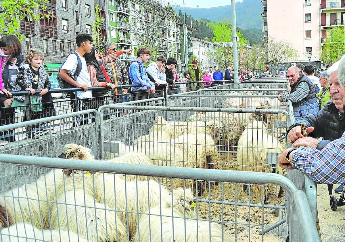 Los animales son imprescindibles en la feria ganadera de Viernes de Dolores y atraen a cientos de personas.