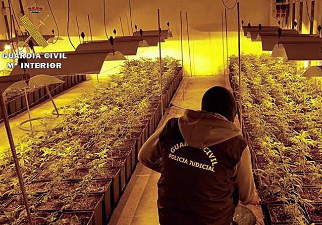 Operativo anterior a esta noticia desarrollado por la Guardia Civil de Álava.