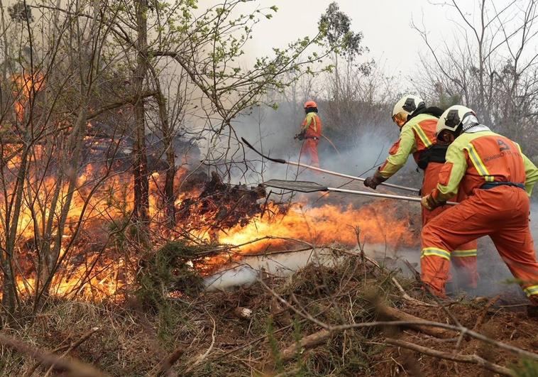 Efectivos de emergencias luchan contra las llamas.