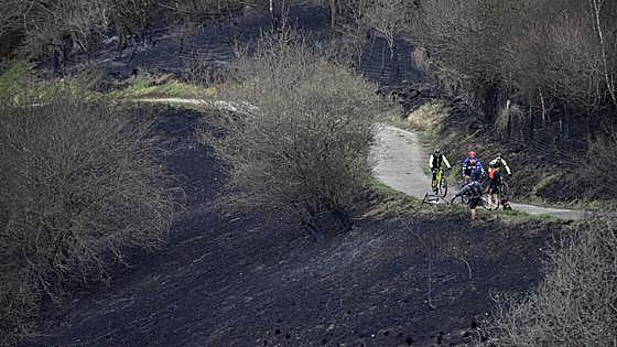 Asturias da por controlados todos los incendios gracias a la lluvia