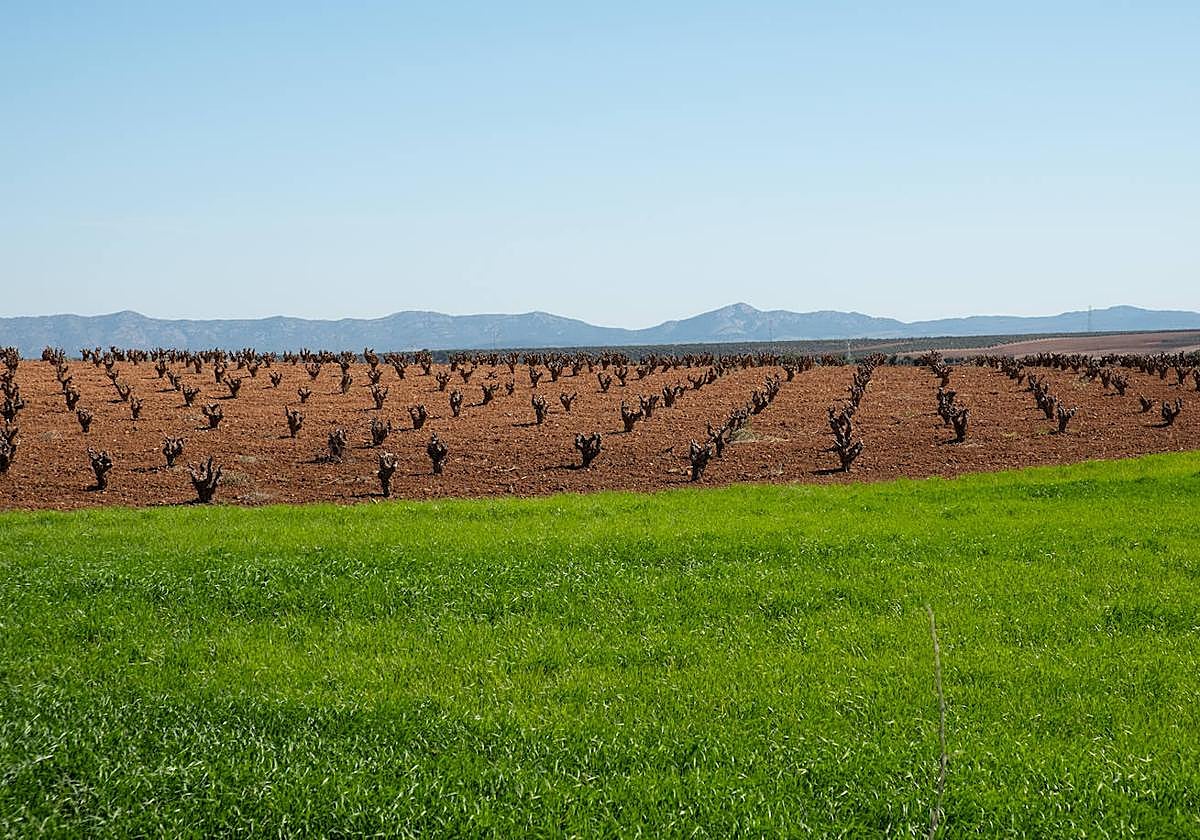 Neiker participa en un proyecto de inteligencia artificial para vigilar la salud del suelo en Europa