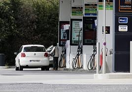 Las sagolineras más baratas de Euskadi.