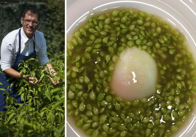 Beñat Ormaetxea sirve ya guisantes lágima de la finca de Jon Bastante (Ibarra Baserria) con huevo de caserío en su Jauregibarria.