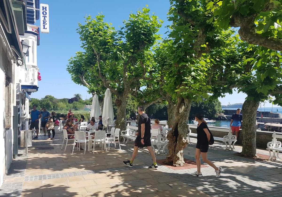 Entorno de la plaza de Los Txospos de Mundaka de donde se retirarán varios árboles.