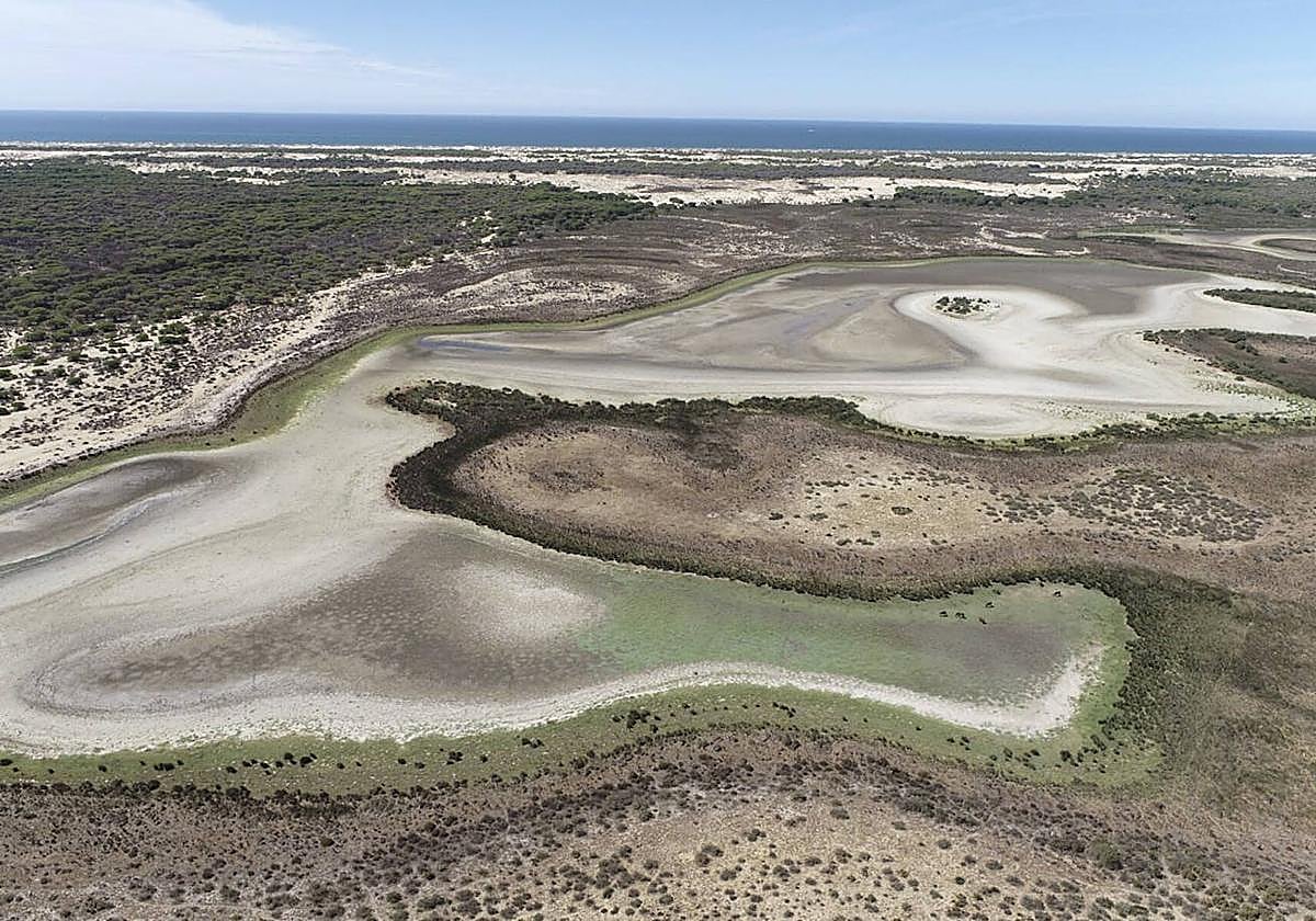 Barrizal político sobre Doñana