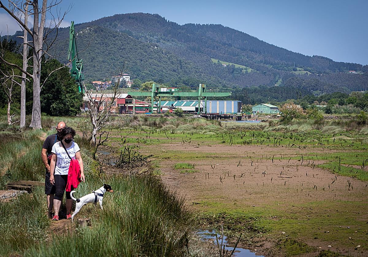 Zona de Gernika en la que se construiría el nuevo Guggenheim.