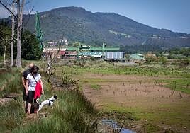 Zona de Gernika en la que se construiría el nuevo Guggenheim.