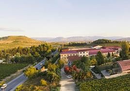 El nuevo edificio, destinado a los visitantes, tendrá como principales elementos constructivos la madera y el vidrio.