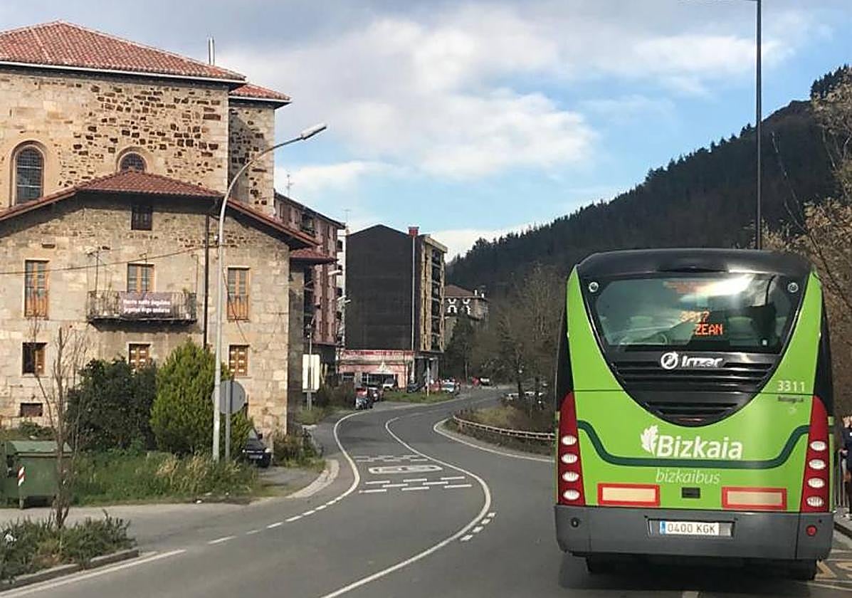 Detenido un vecino de Igorre por dejar morir a dos perros en su piso