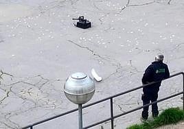 Operarios contratados por el Ayuntamiento colocan una trampa para palomas poco antes del ataque del vecino.