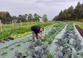 Egoitz Aurrekoetxea cultiva hortalizas en sus terrenos sobre el mar.