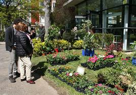 Flores y plantas de un expositor colocados en el parque Arenatzarte en una edición anterior.