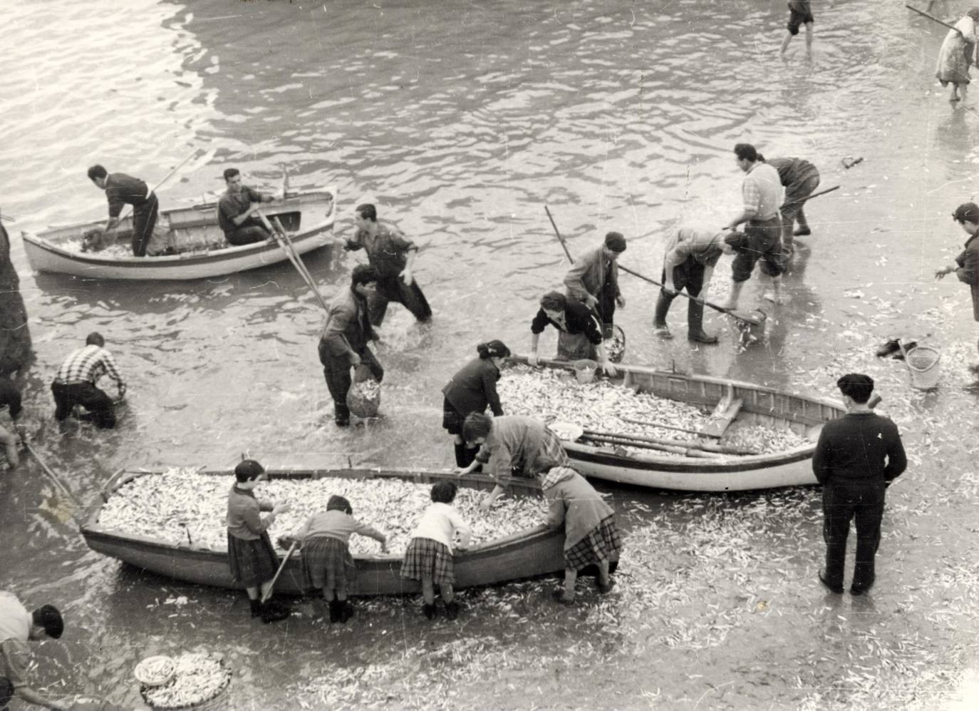 Día de gran recogida de sardina en Getxo. Bibliotecas de Getxo