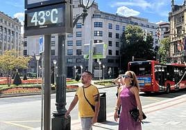 El alimento «anticambio climático» que recomienda Mario Picazo