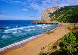 La playa de Laga en Ibarrangelu alcanza más de 500 metros de longitud.